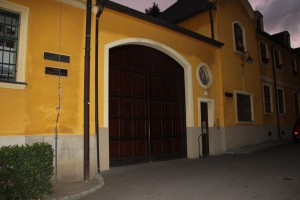 IMG 0306